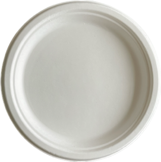 Sugercane 10" Plate